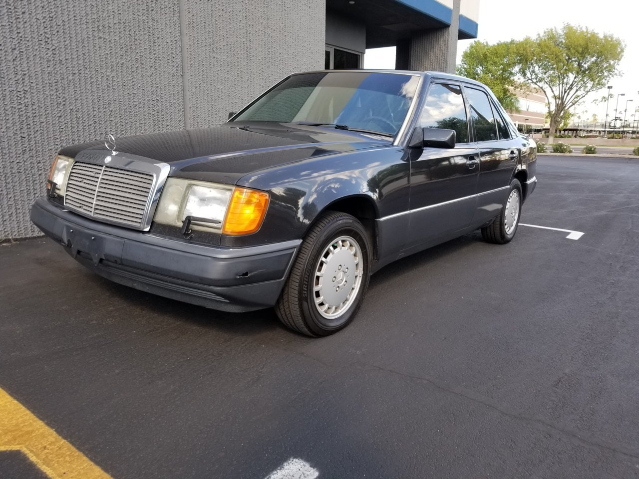 20181021_101147.jpg