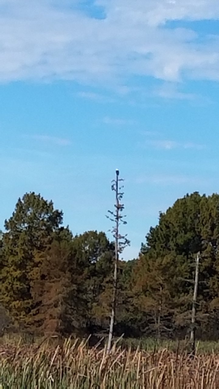20181022_102729.jpg