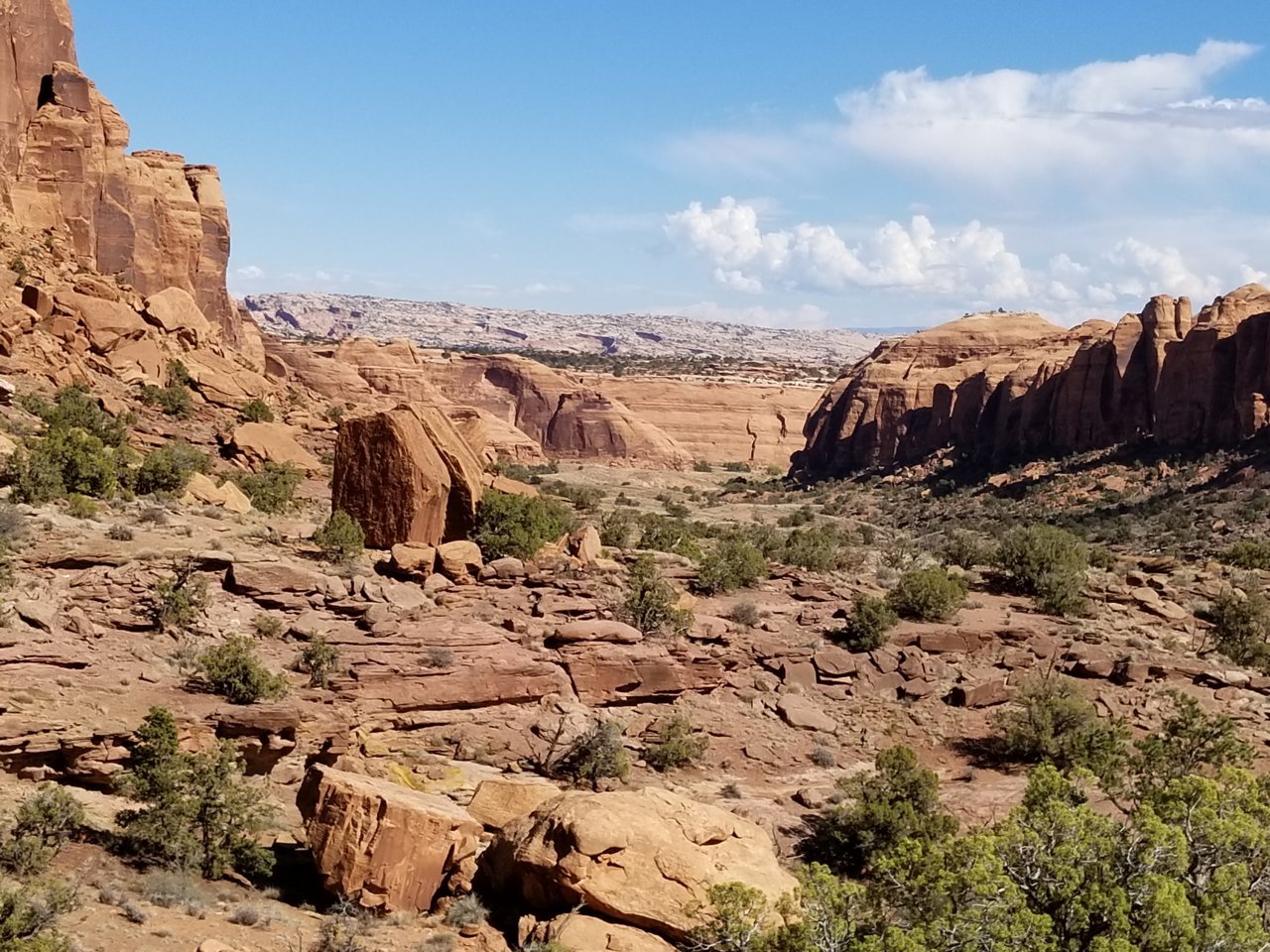 20181022_131952.jpg