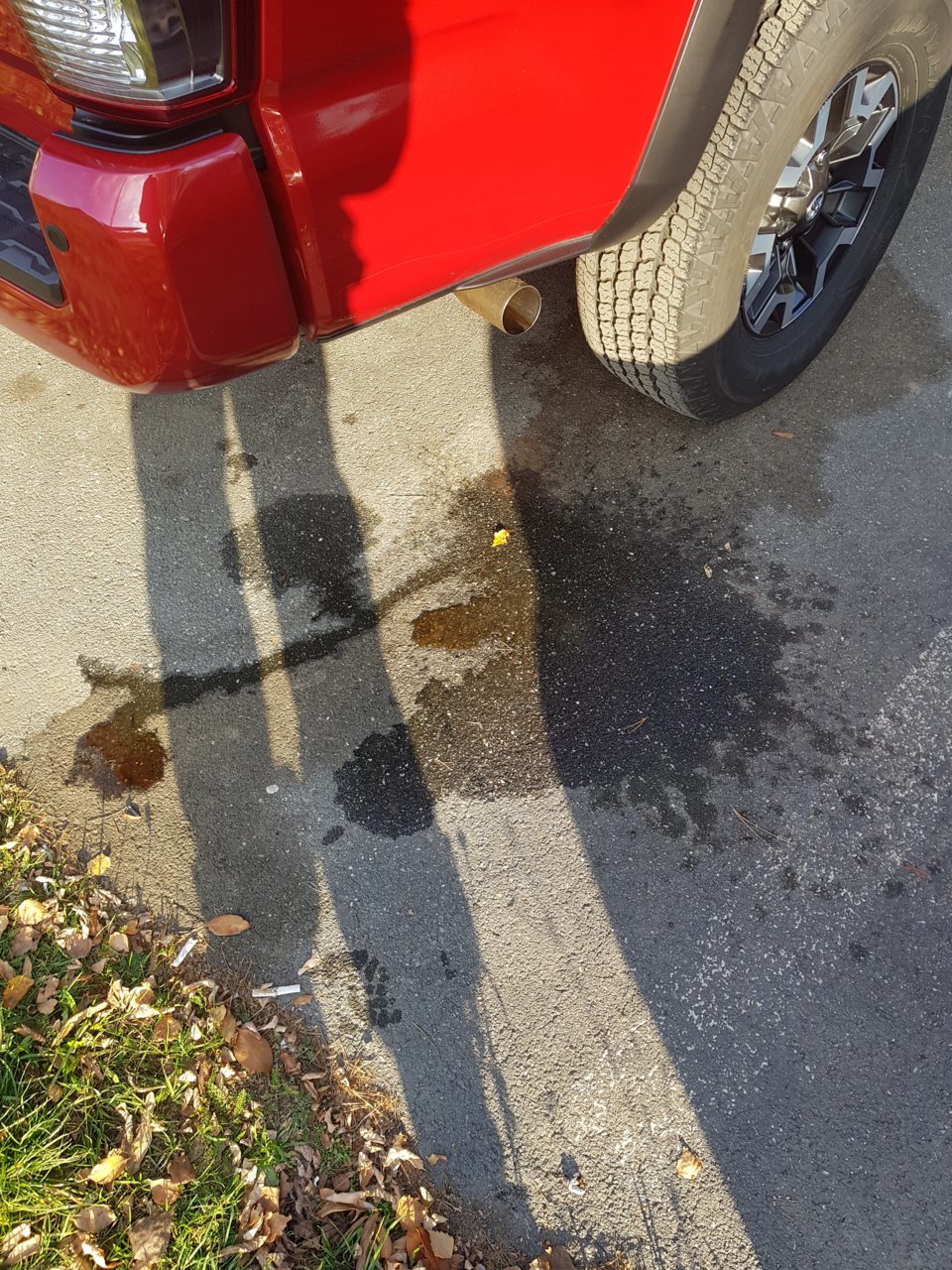 20181022_160209.jpg
