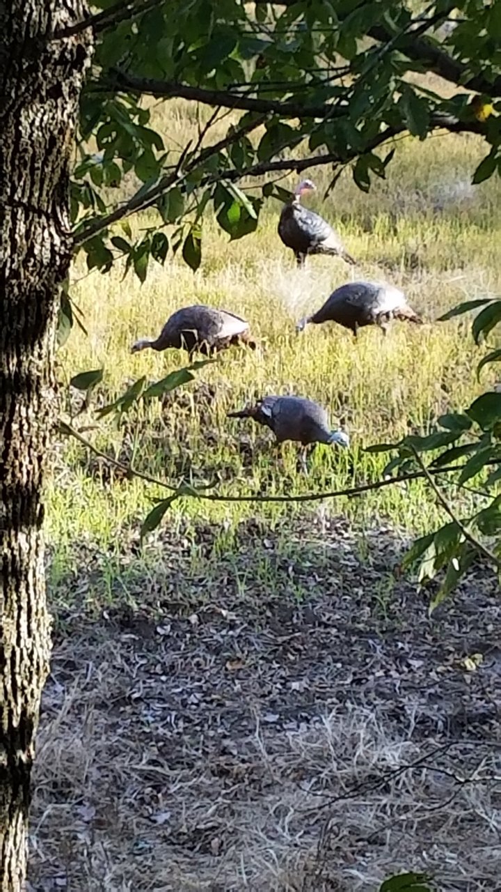 20181022_161637.jpg