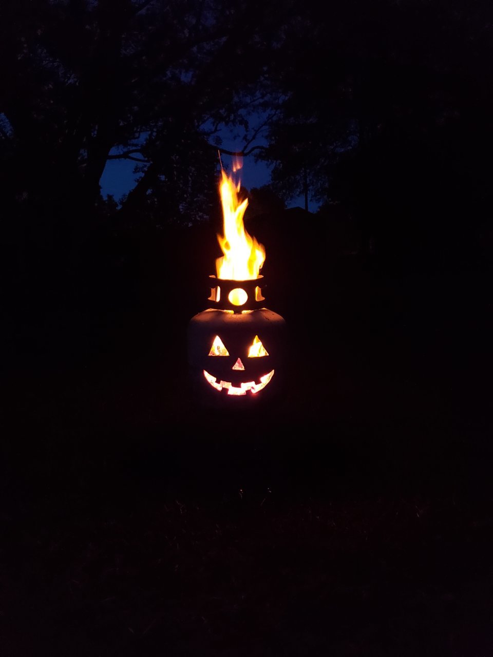 20181024_190721.jpg