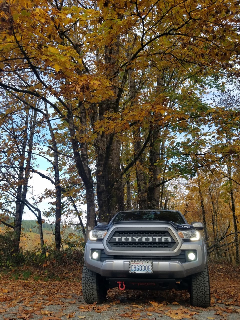 20181024_202832.jpg