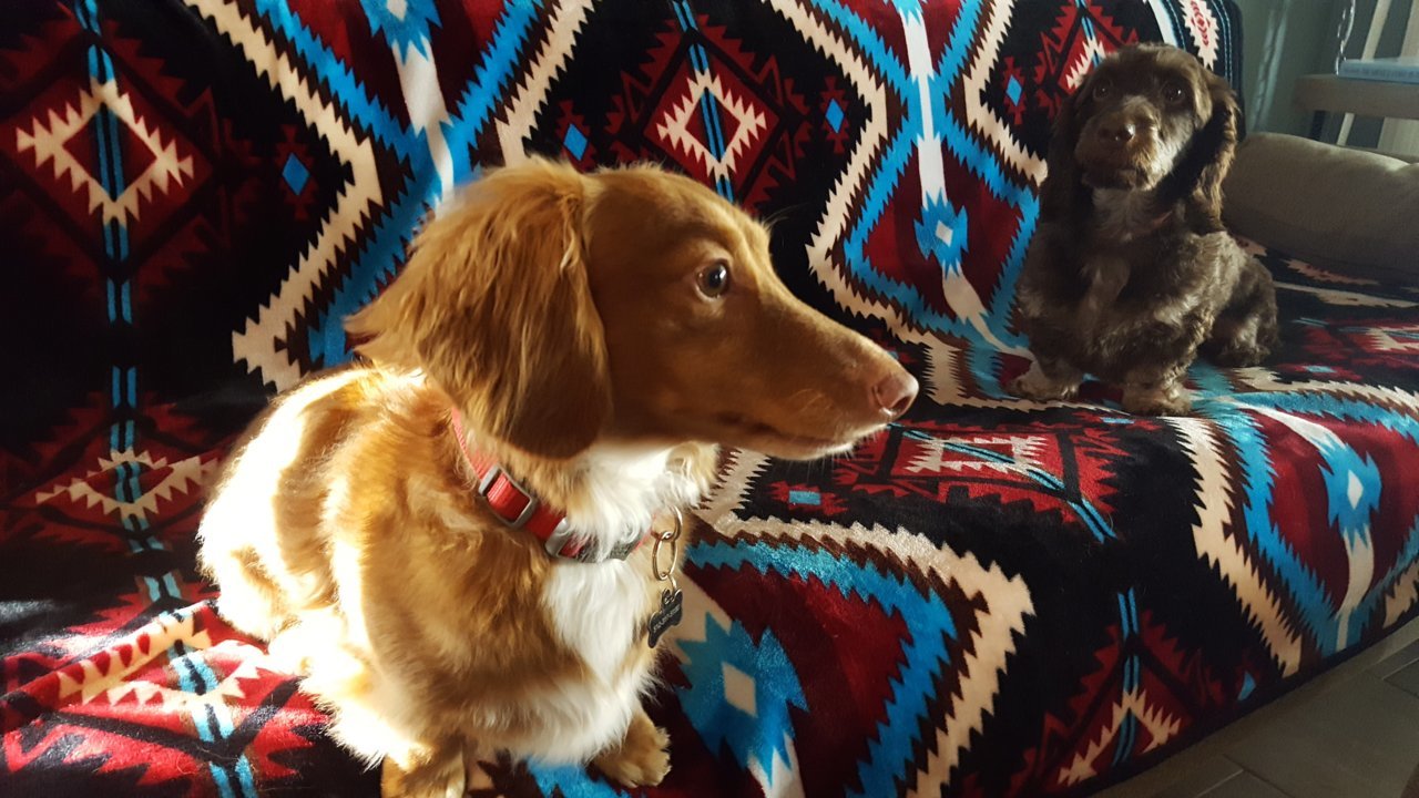 20181025_165336.jpg