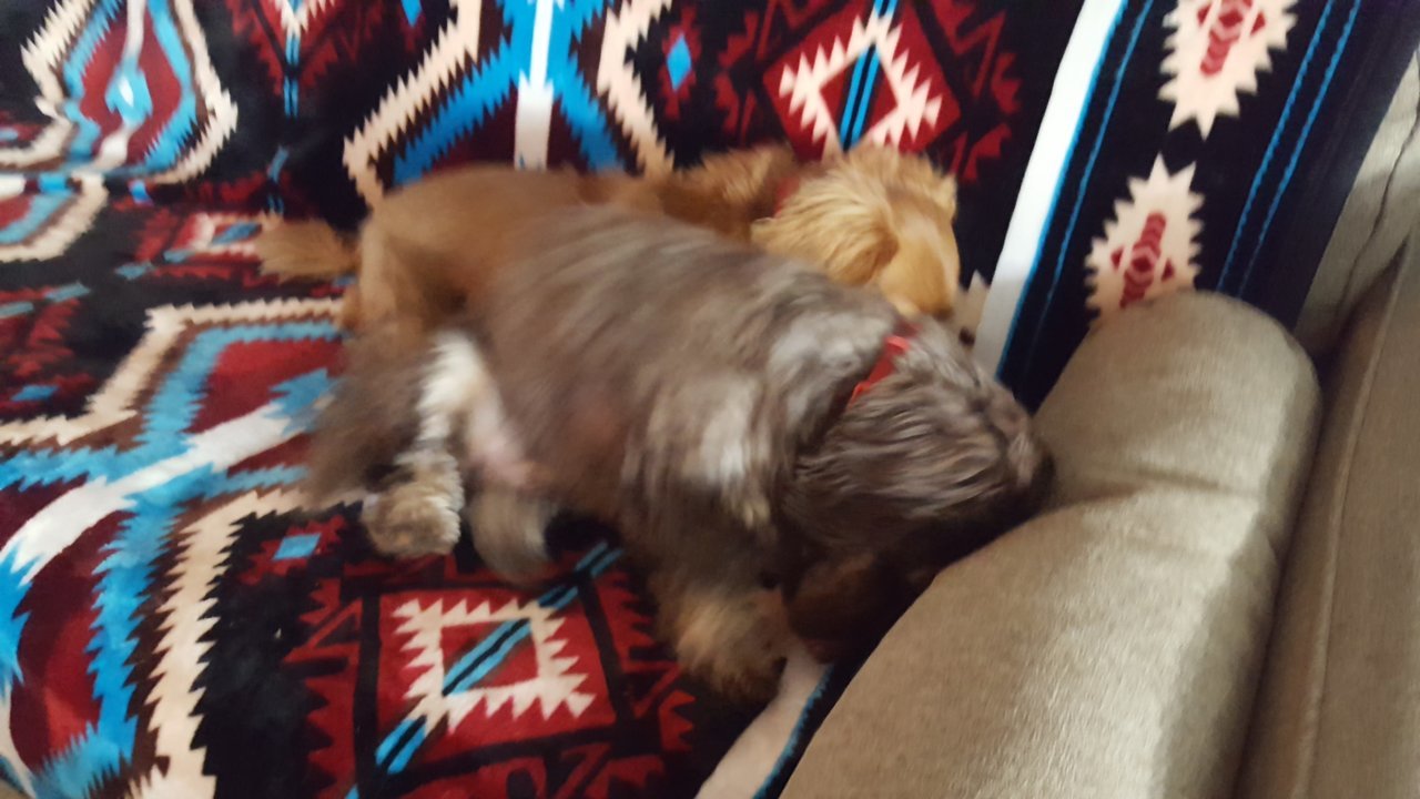 20181025_165406.jpg