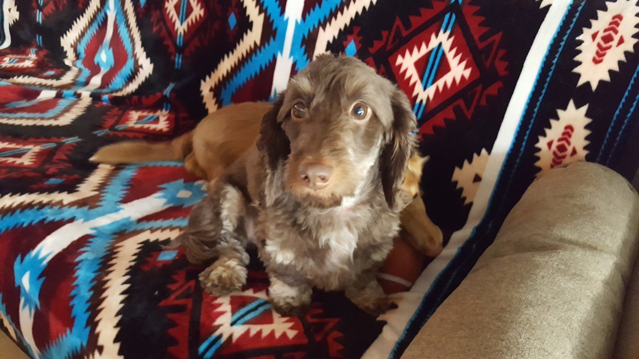 20181025_165411.jpg