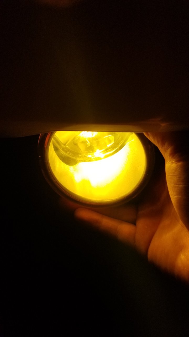 20181025_172427.jpg