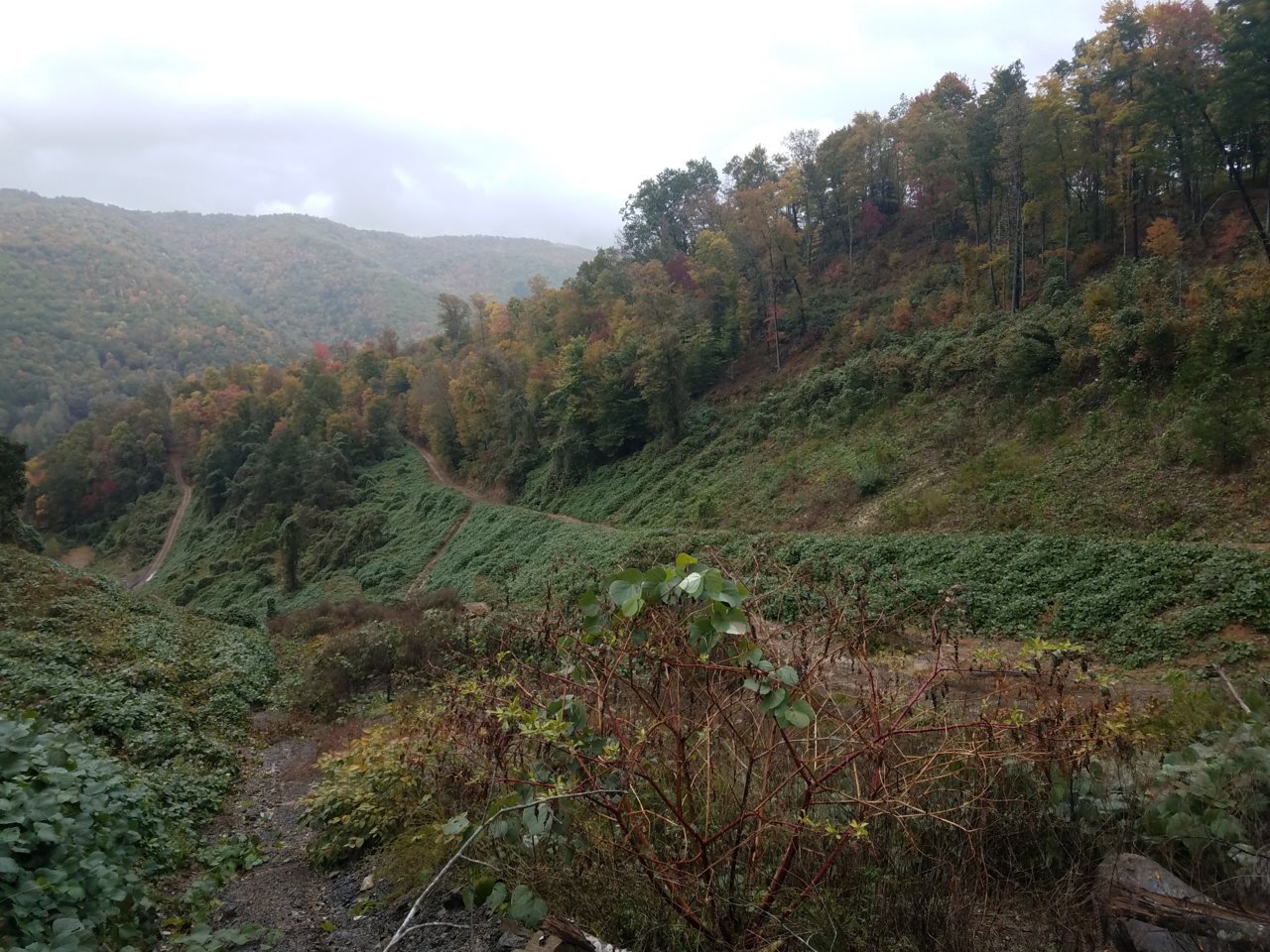 20181026_104228.jpg