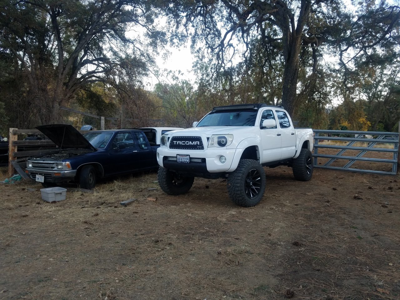20181026_171141.jpg