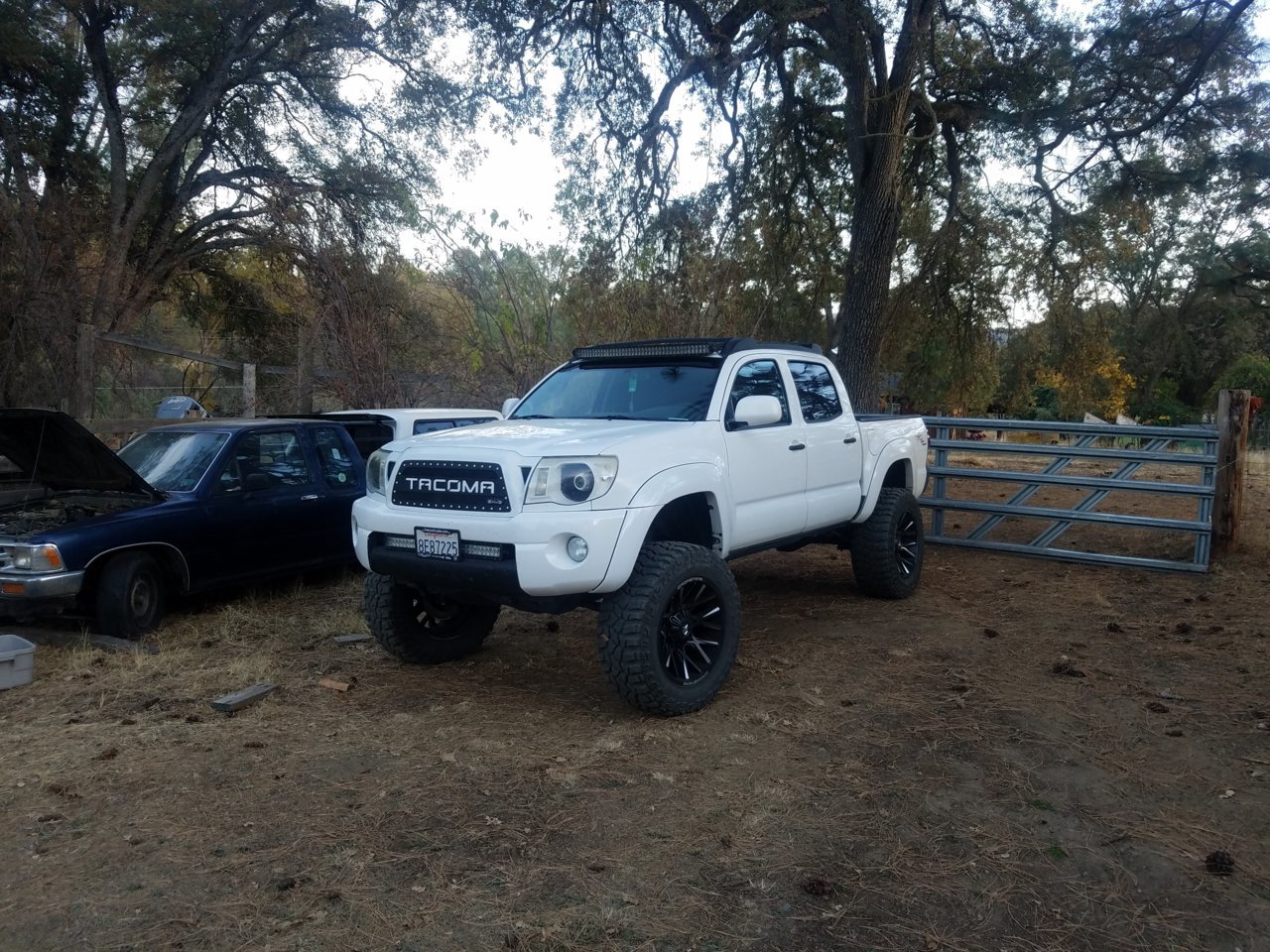 20181026_171158.jpg
