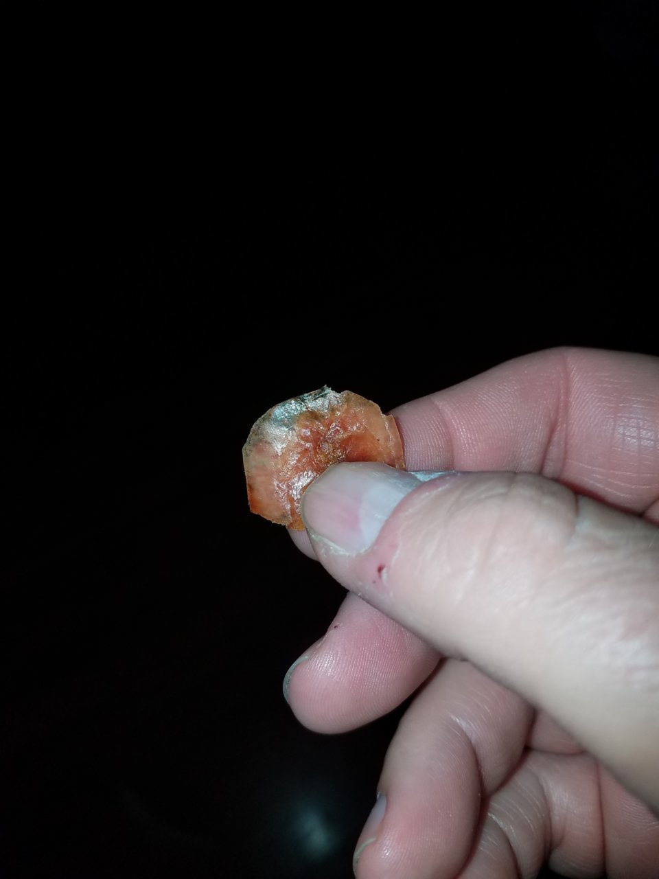 20181026_234156.jpg