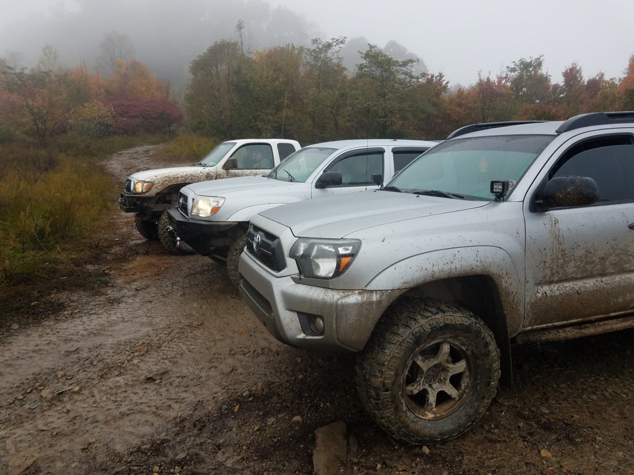 20181027_102241.jpg