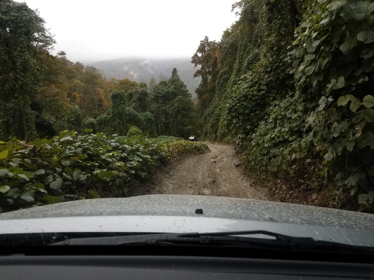 20181027_134941.jpg