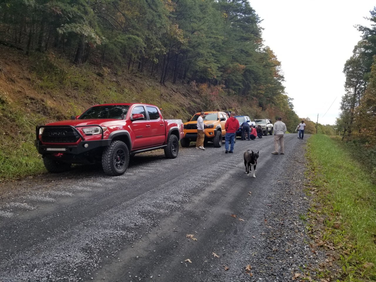 20181028_122320.jpg