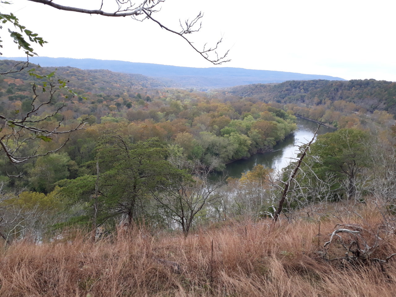 20181028_153417.jpg