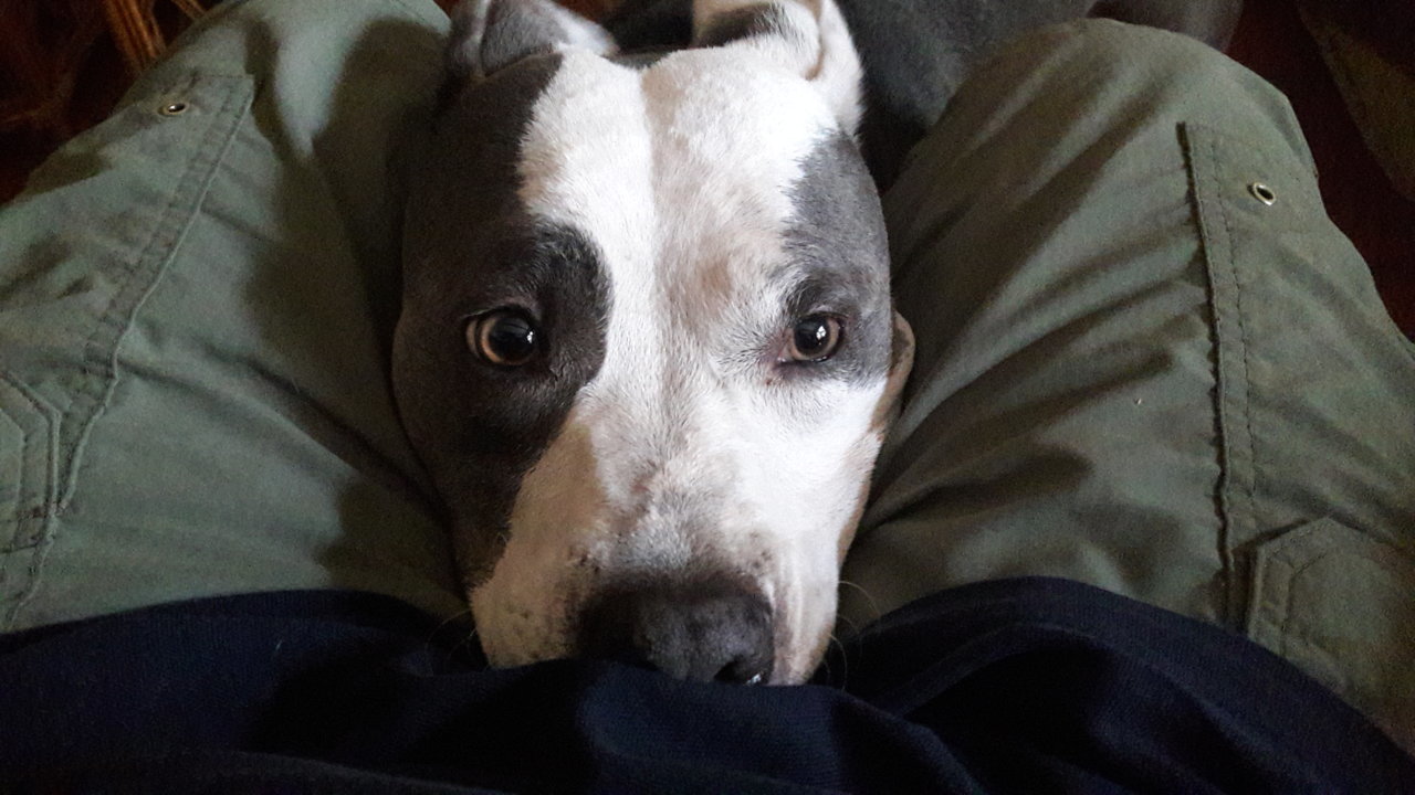 20181028_163224.jpg