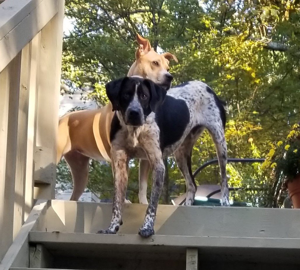 20181028_165846.jpg