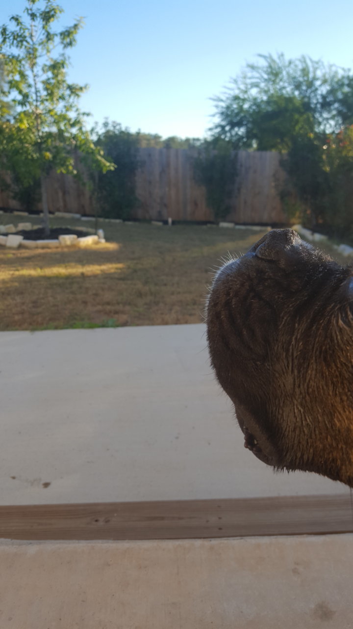 20181028_174944.jpg