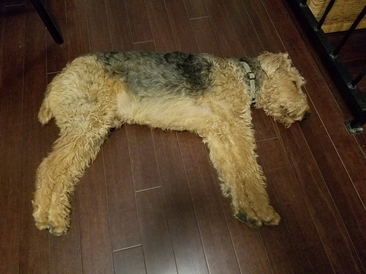 20181029_184924.jpg
