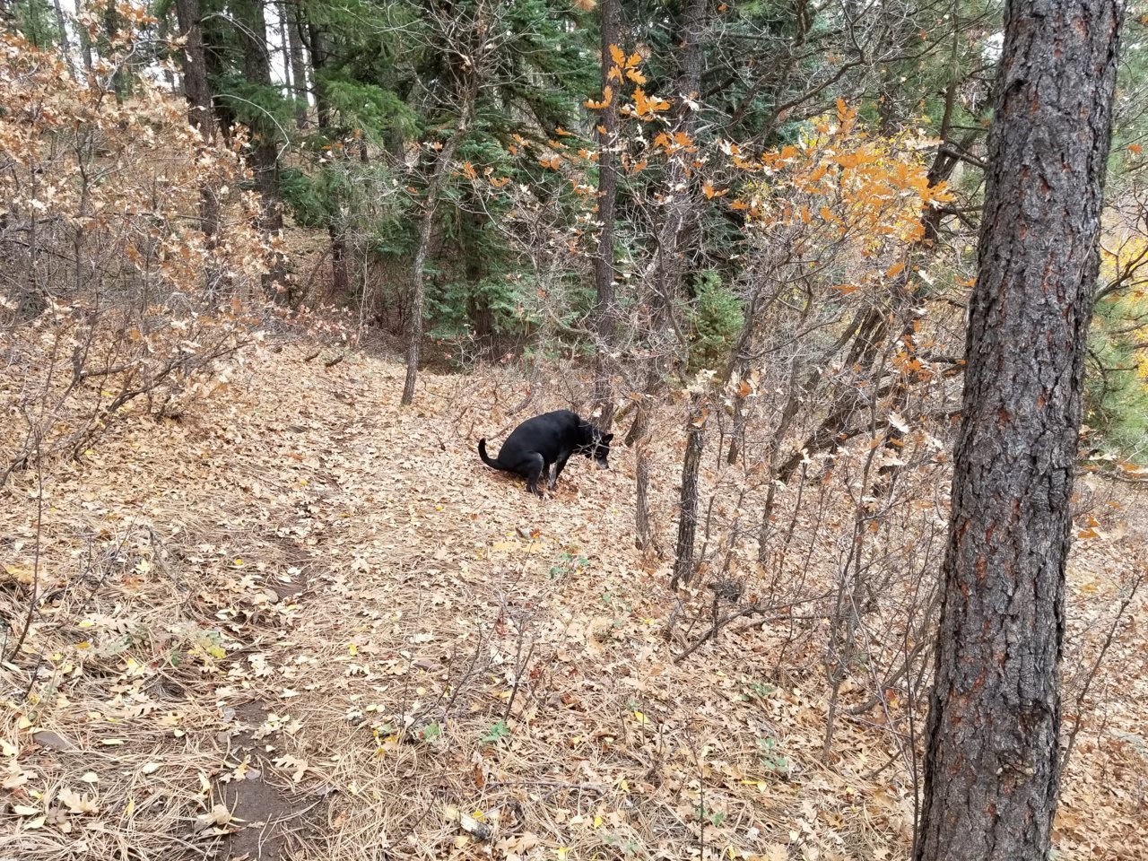 20181030_101209.jpg