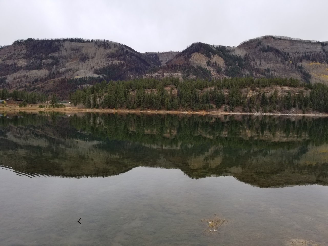 20181030_101351.jpg