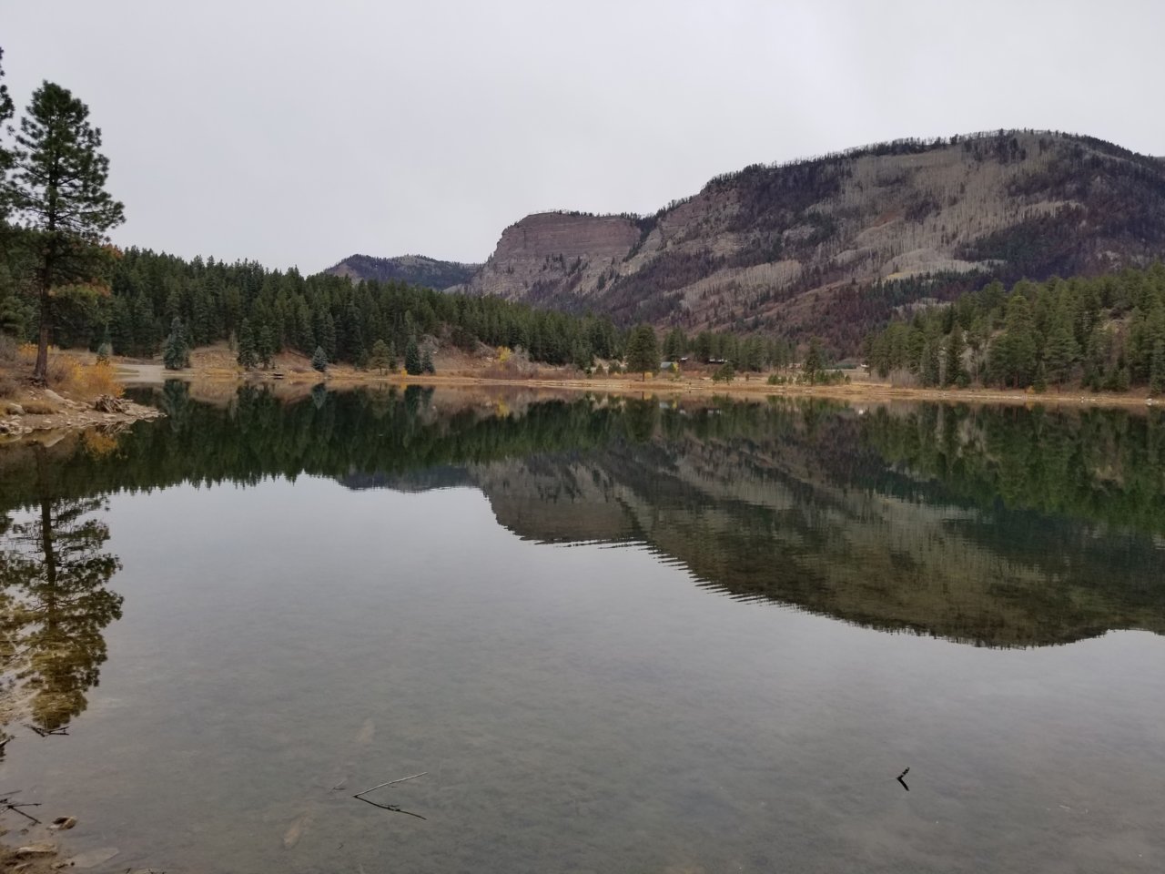 20181030_101354.jpg