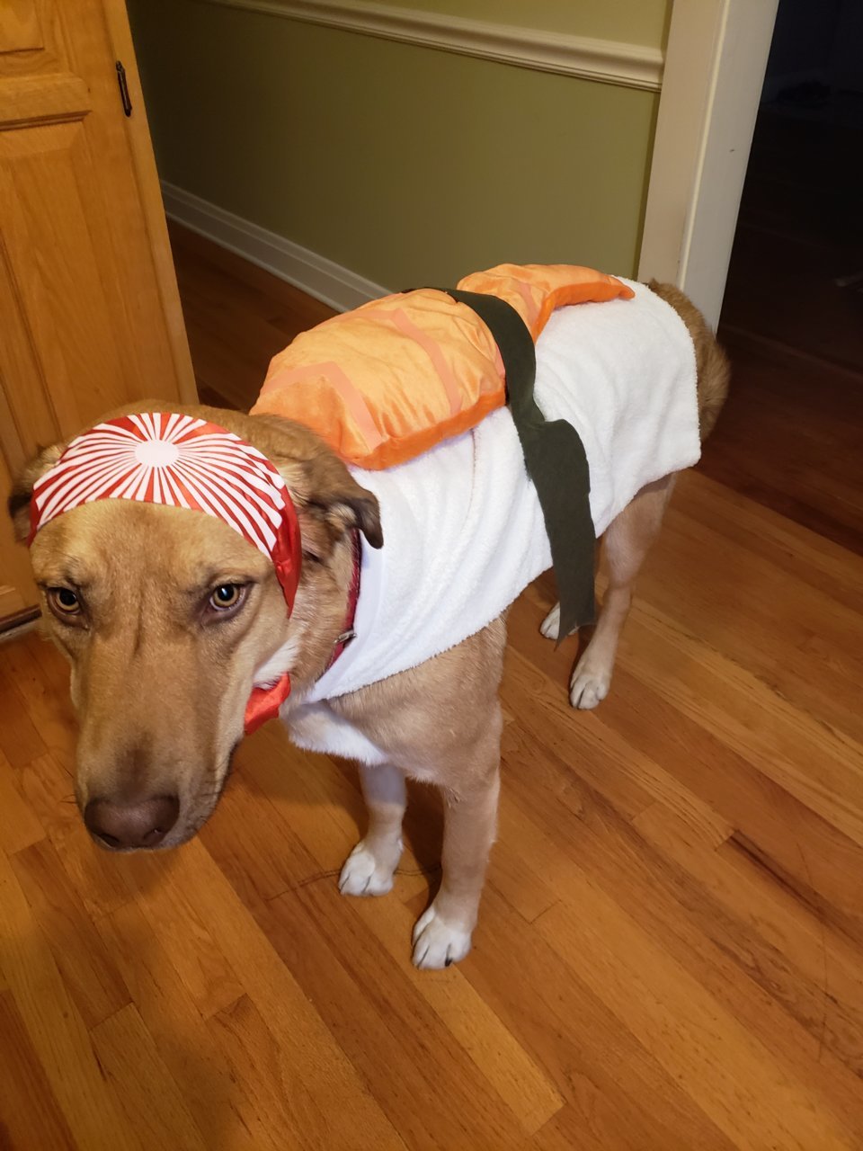 20181030_162813.jpg
