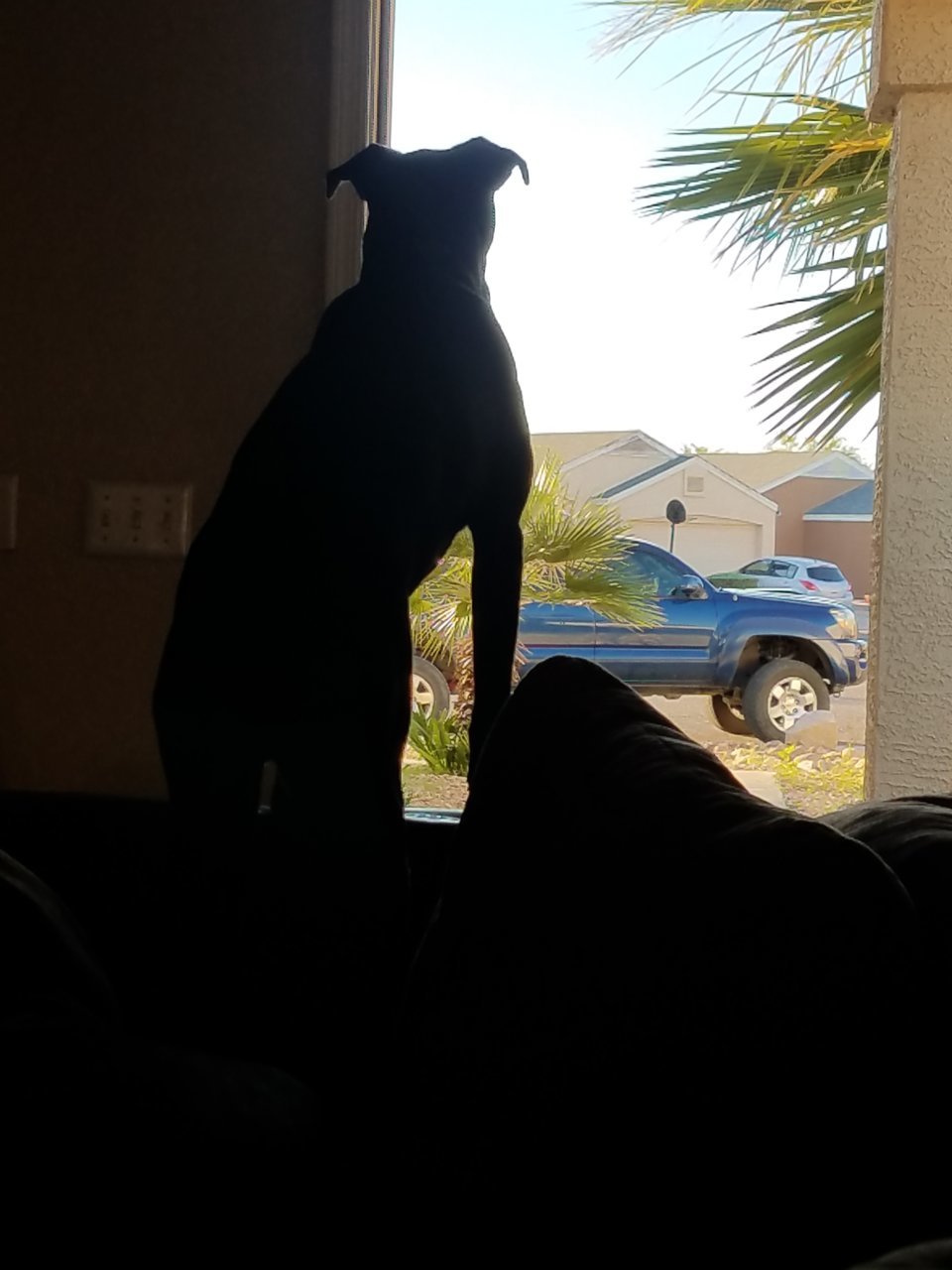 20181031_075725.jpg