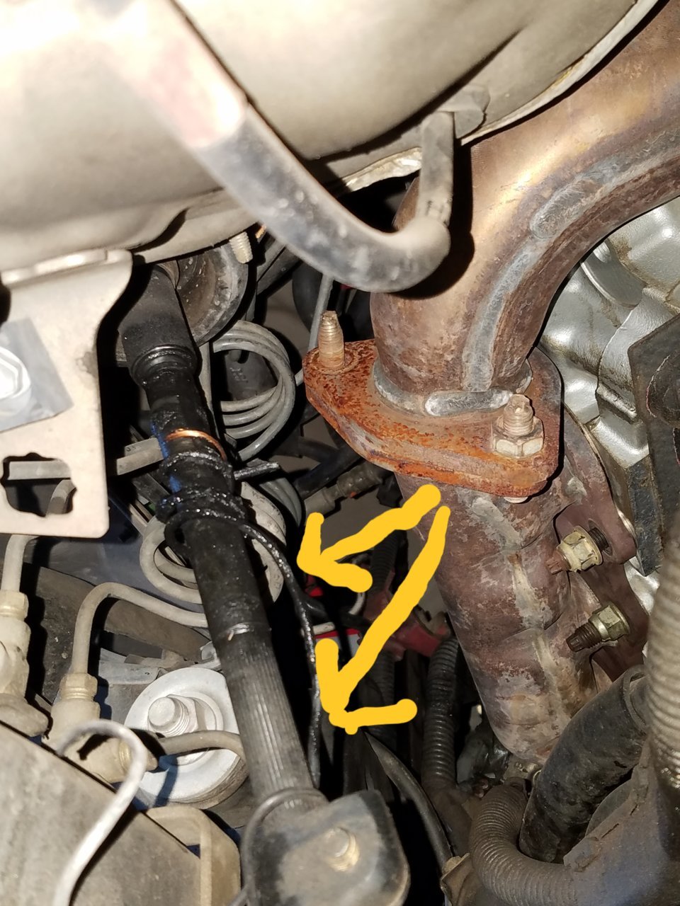 20181031_083204.jpg