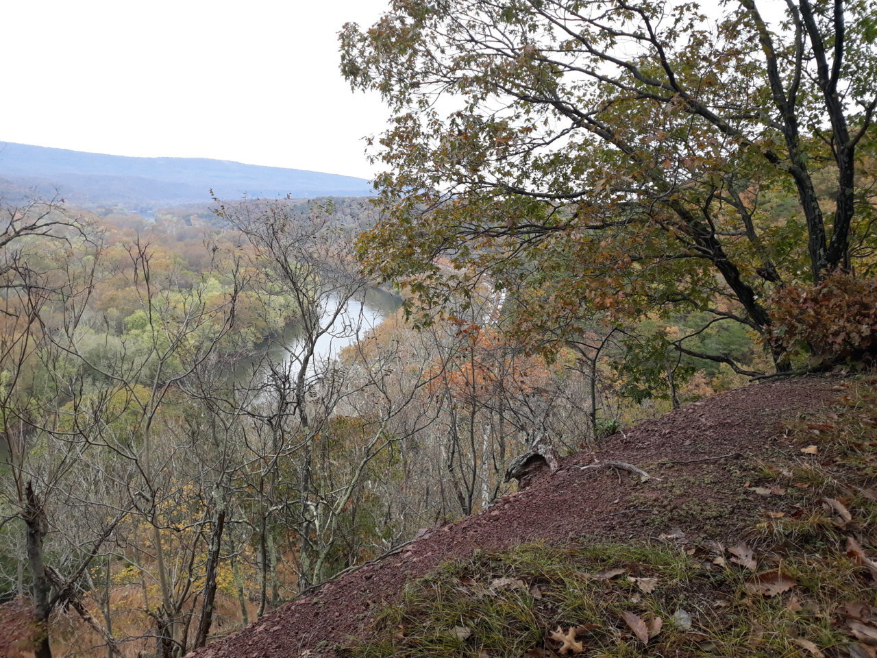 20181031_103010.jpg