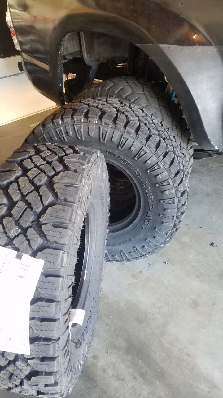 20181031_110410.jpg