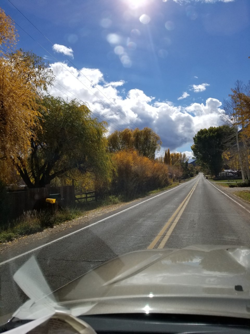 20181031_120150.jpg