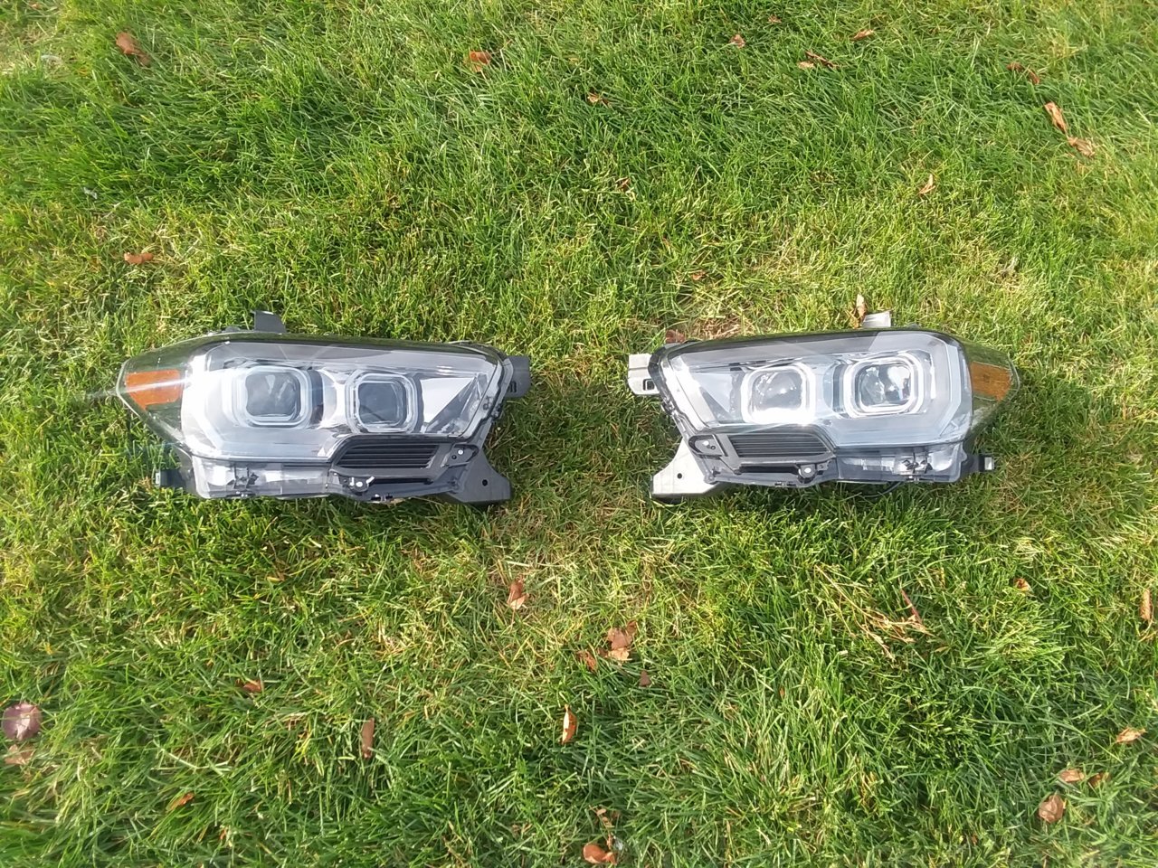20181031_151222.jpg