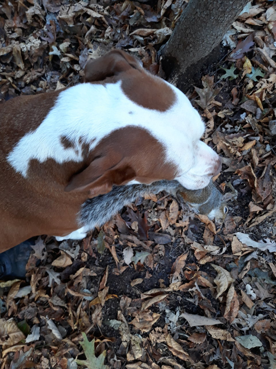 20181031_161535.jpg