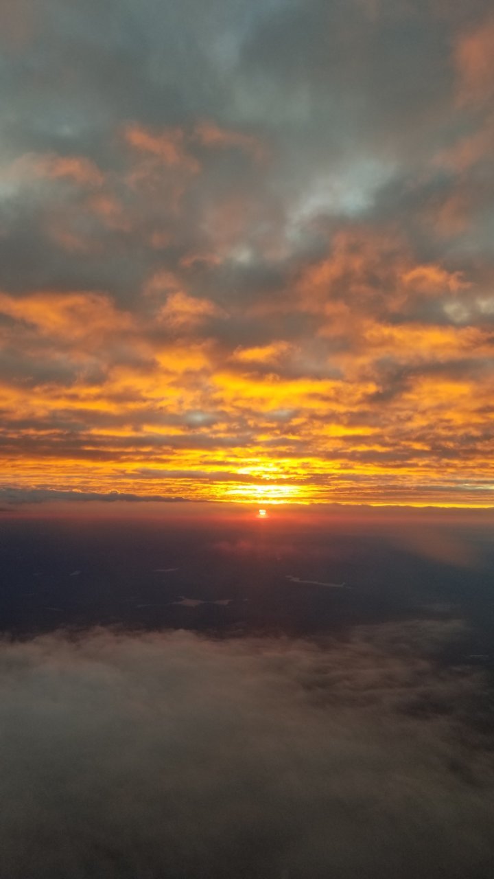 20181101_072556.jpg