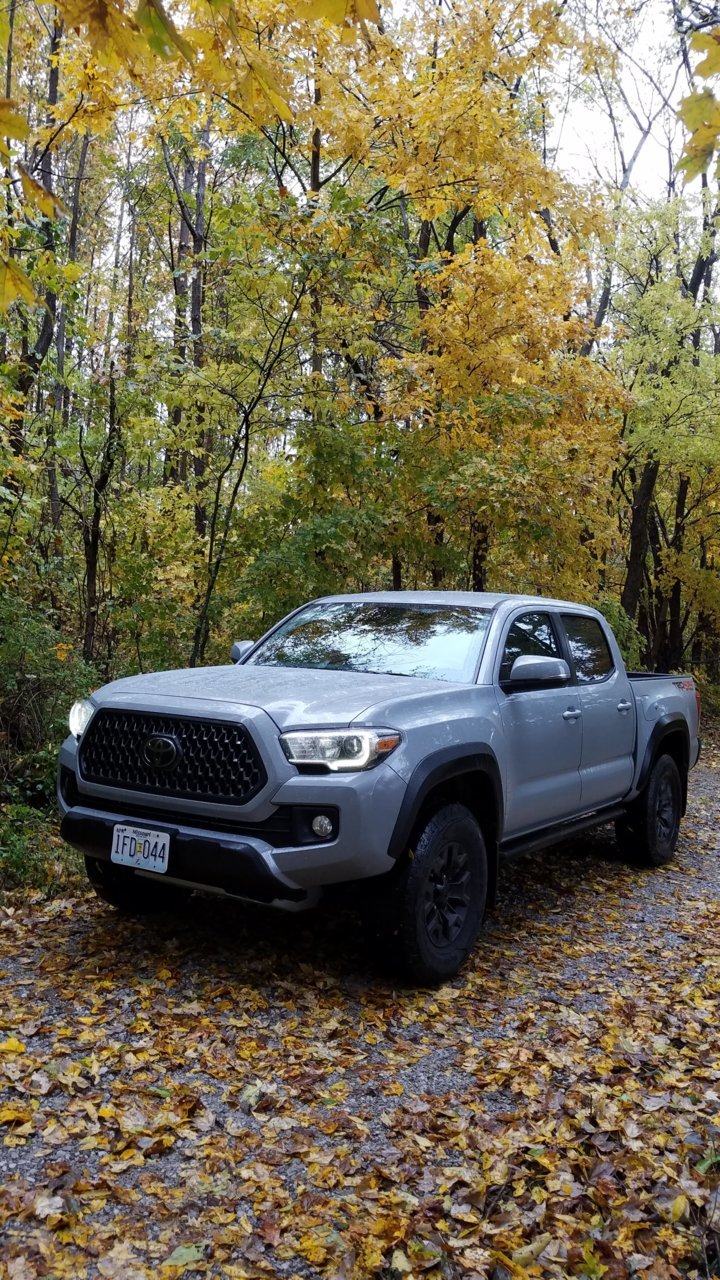 20181101_145218.jpg