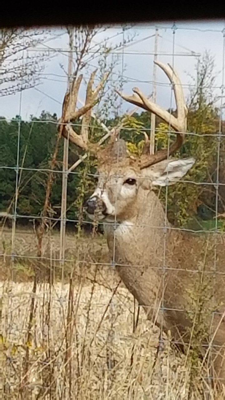 20181102_110728.jpg