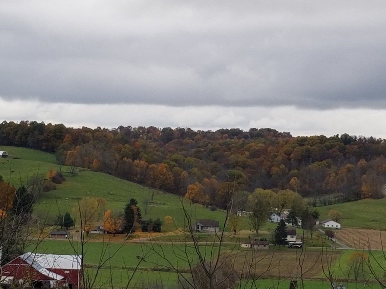 20181102_114027.jpg