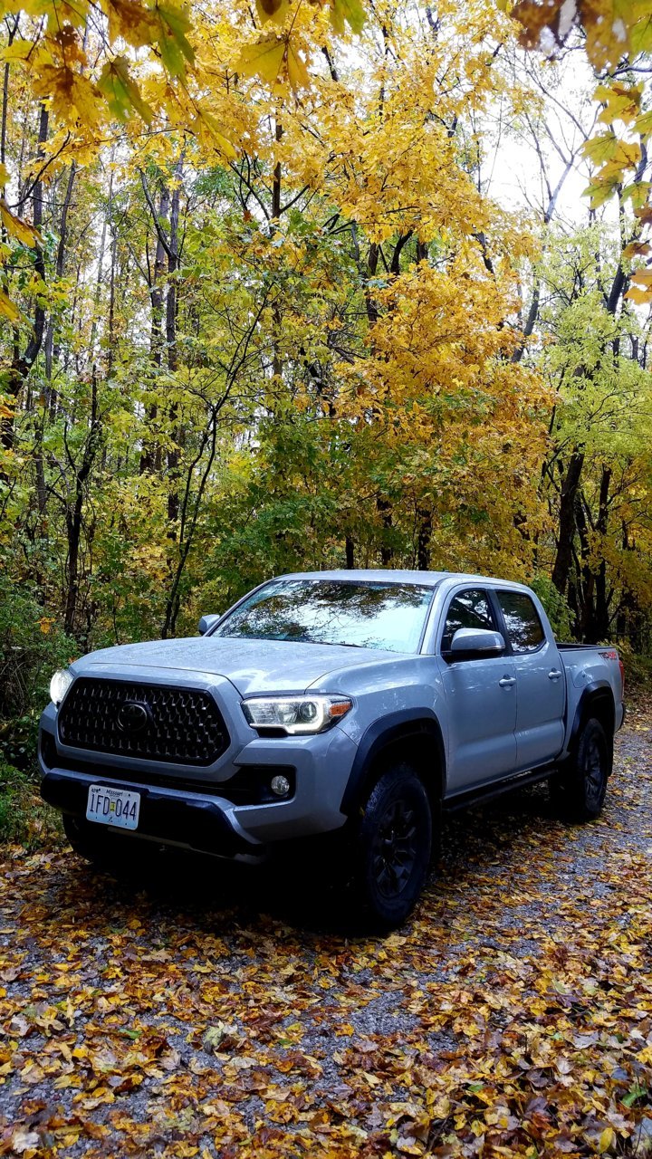 20181102_181730.jpg
