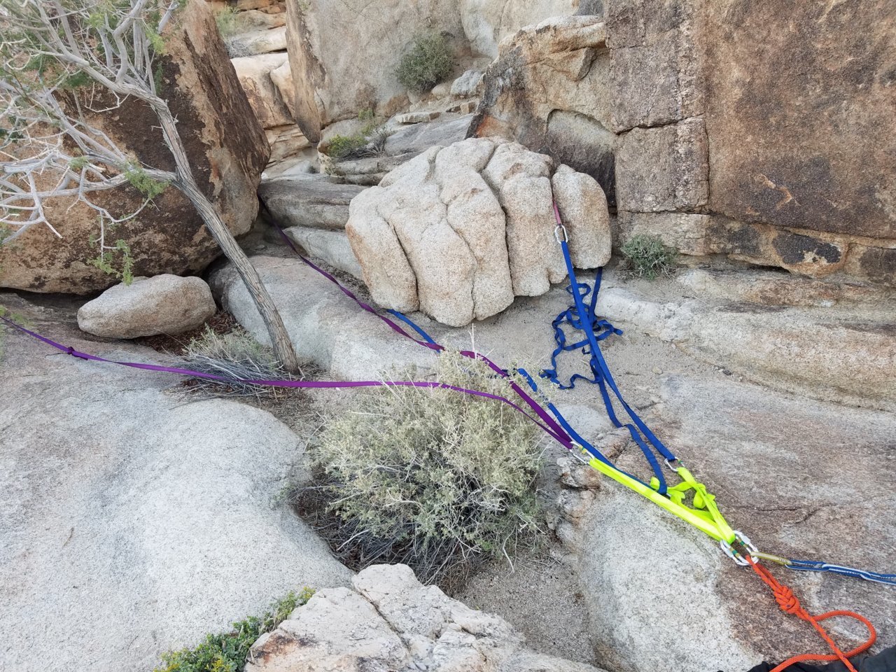 20181103_072459.jpg