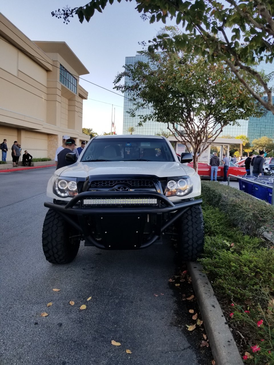 20181103_082814.jpg