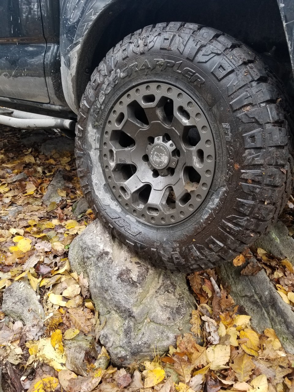 20181103_120409.jpg