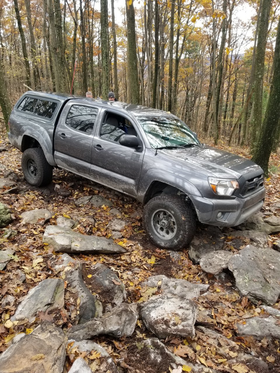 20181103_121120.jpg
