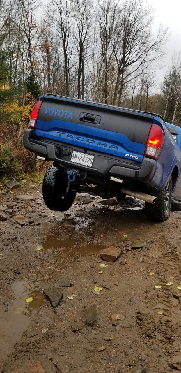 20181103_122023.jpg