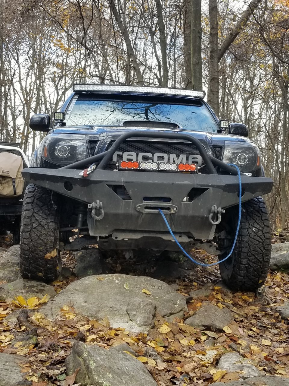 20181103_123252.jpg