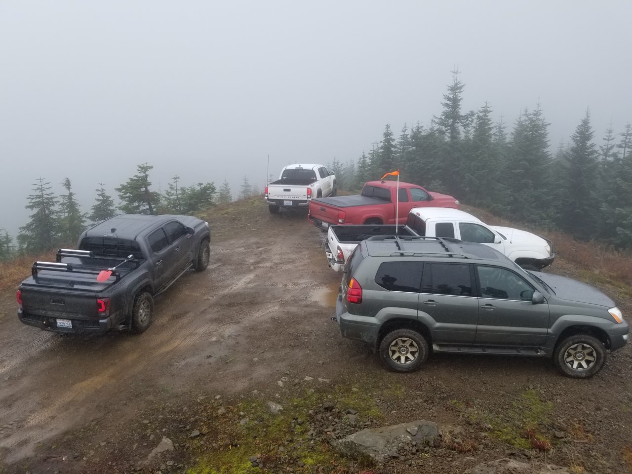 20181103_133924.jpg