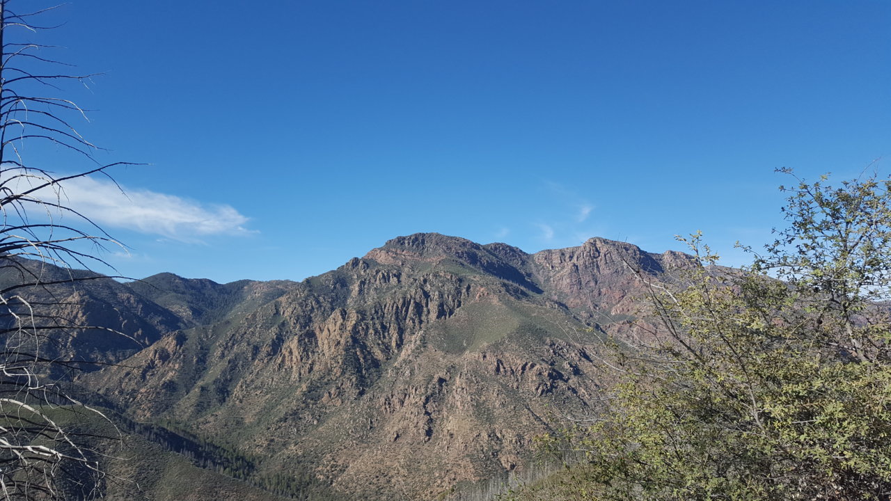 20181103_142840.jpg