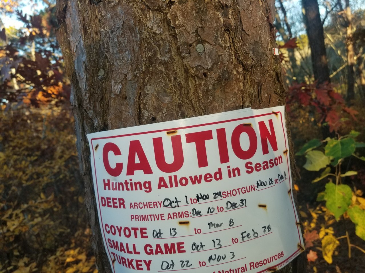 20181103_164412.jpg