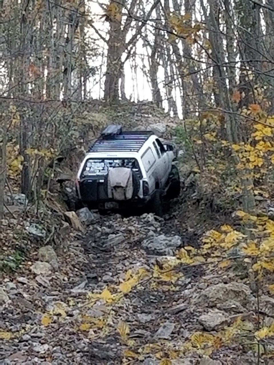 20181103_165755.jpg