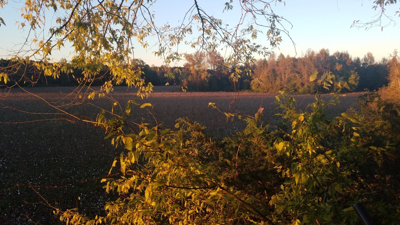 20181103_175839.jpg